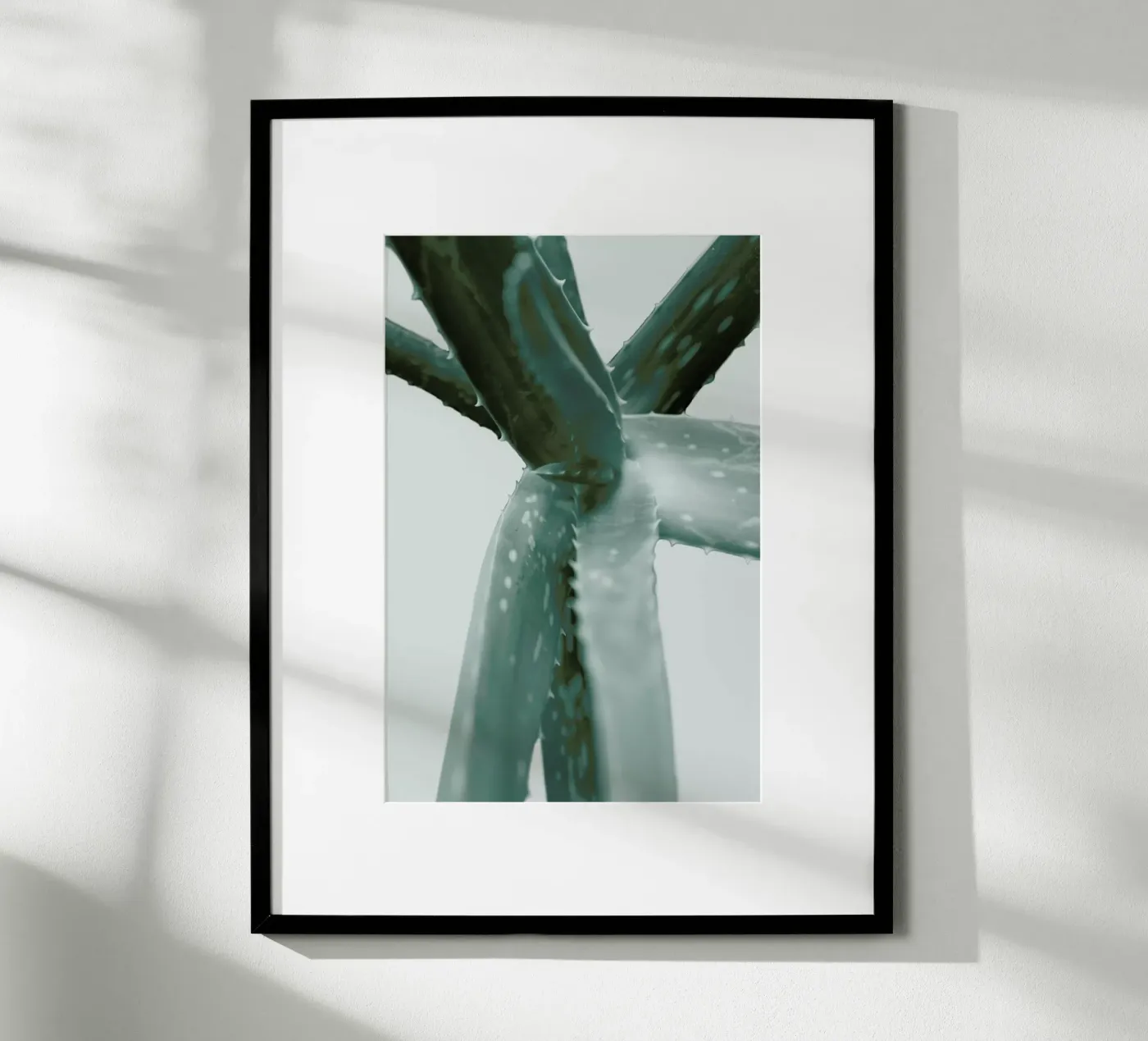 Agave poster by Elena Veronese