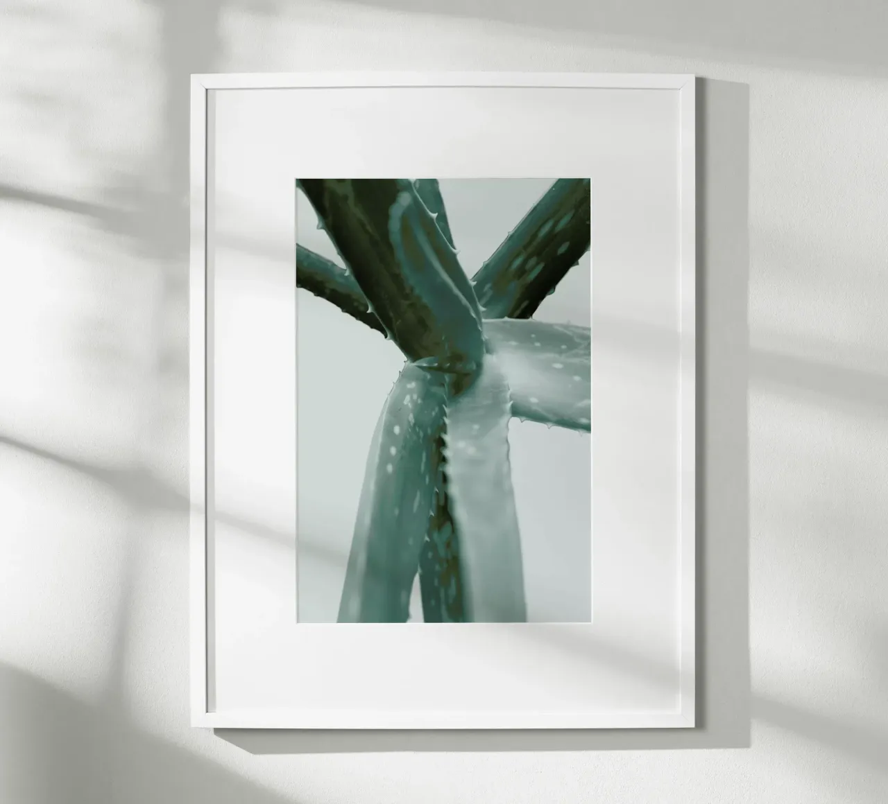 Agave poster da Elena Veronese