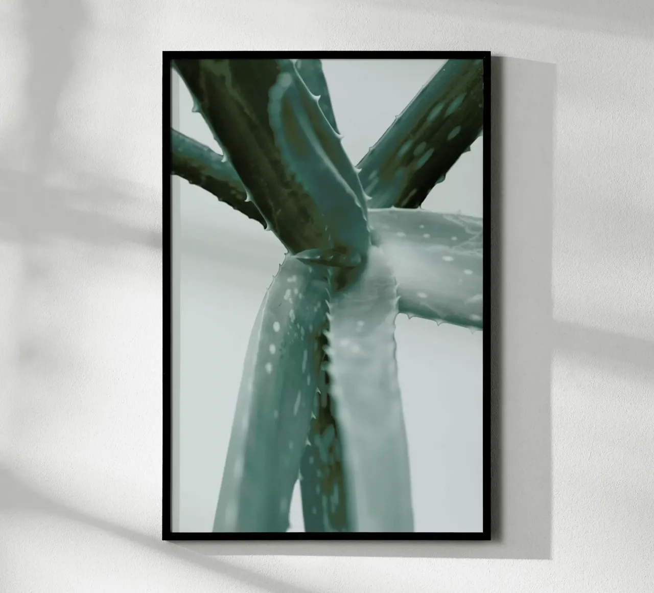 Agave poster da Elena Veronese