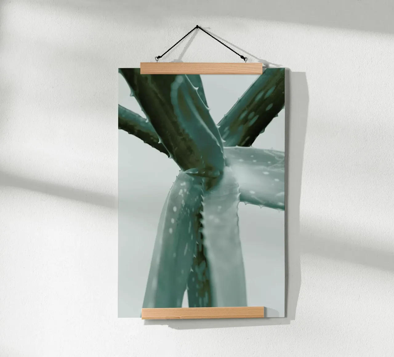 Agave poster da Elena Veronese