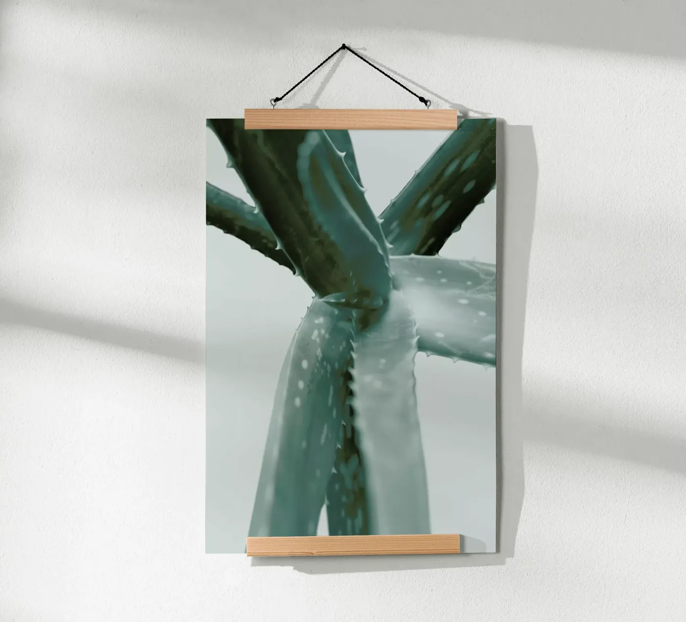 Agave poster by Elena Veronese