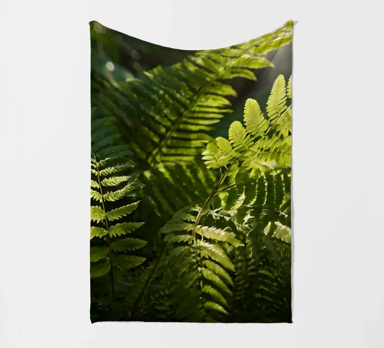 Felci verdi e rigogliose che si crogiolano alla luce del sole in una foresta tranquilla coperta in pile da DesignDoodle