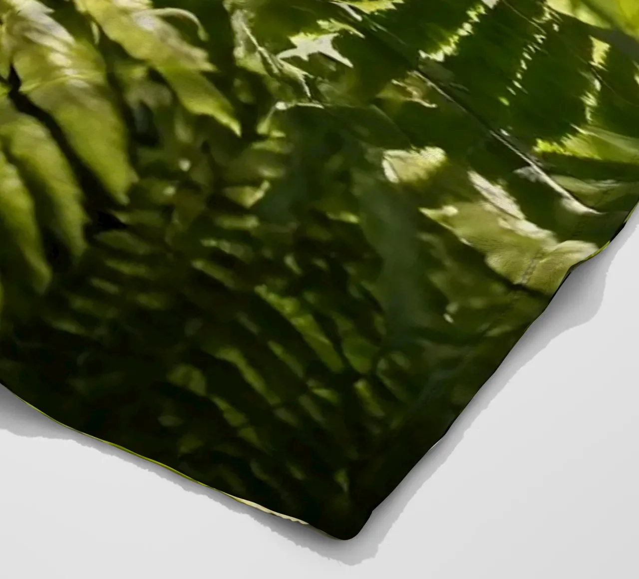 Felci verdi e rigogliose che si crogiolano alla luce del sole in una foresta tranquilla coperta in pile da DesignDoodle