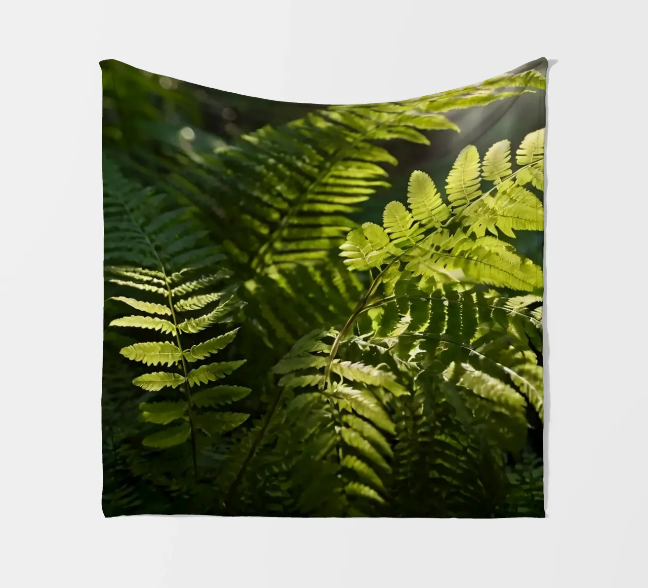 Felci verdi e rigogliose che si crogiolano alla luce del sole in una foresta tranquilla coperta in pile da DesignDoodle
