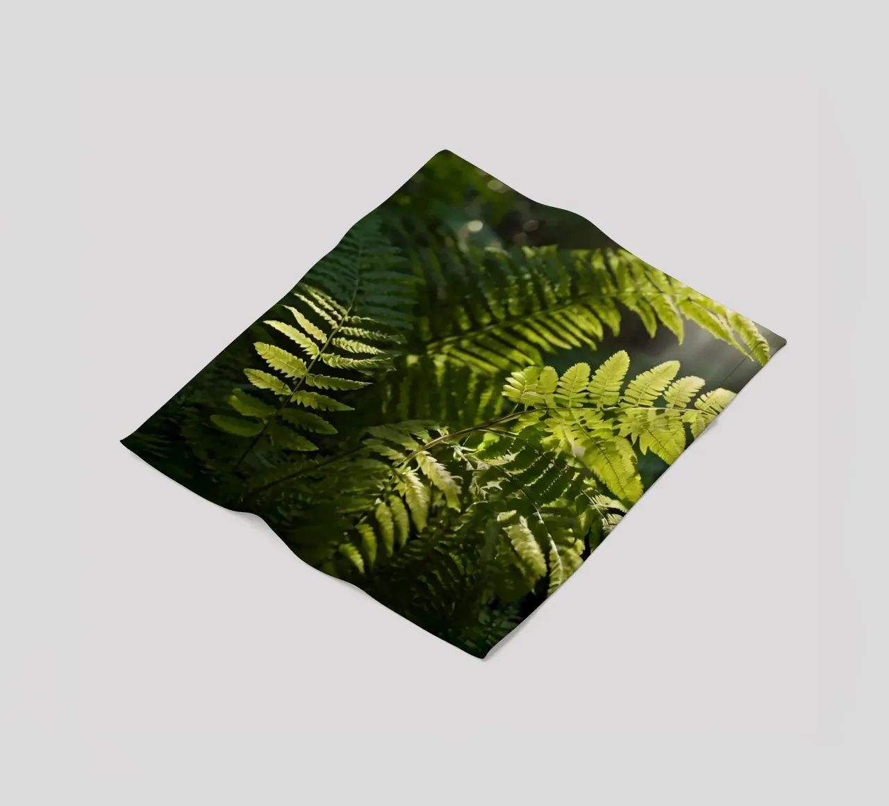 Felci verdi e rigogliose che si crogiolano alla luce del sole in una foresta tranquilla coperta in pile da DesignDoodle