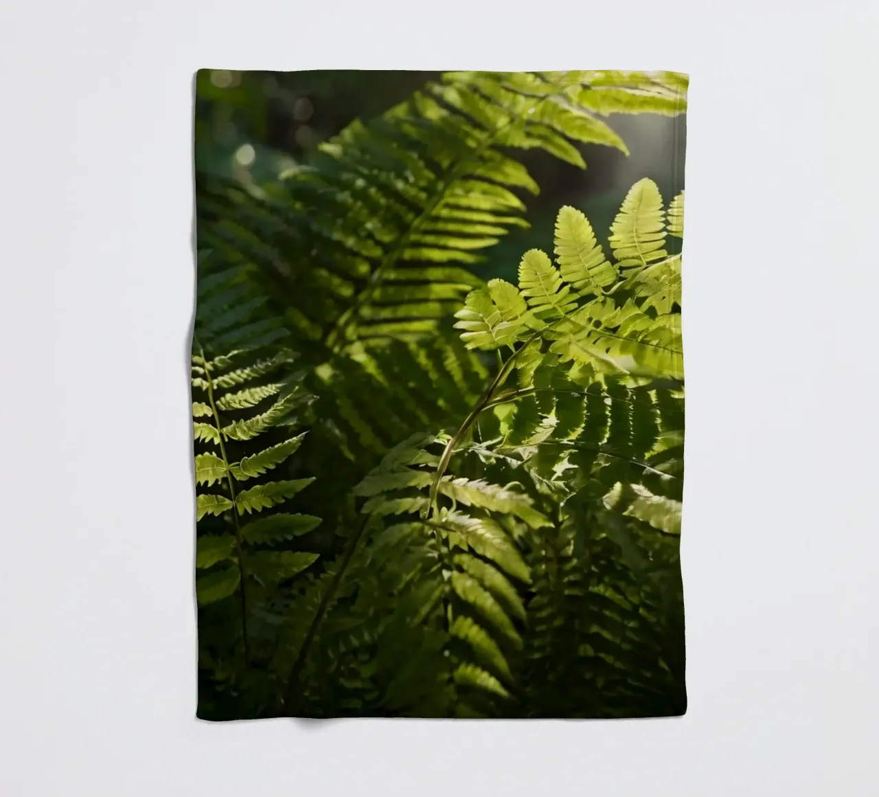 Felci verdi e rigogliose che si crogiolano alla luce del sole in una foresta tranquilla coperta in pile da DesignDoodle