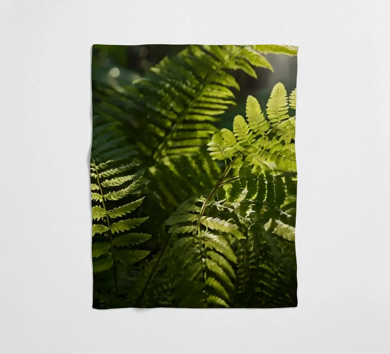 Felci verdi e rigogliose che si crogiolano alla luce del sole in una foresta tranquilla coperta in pile da DesignDoodle