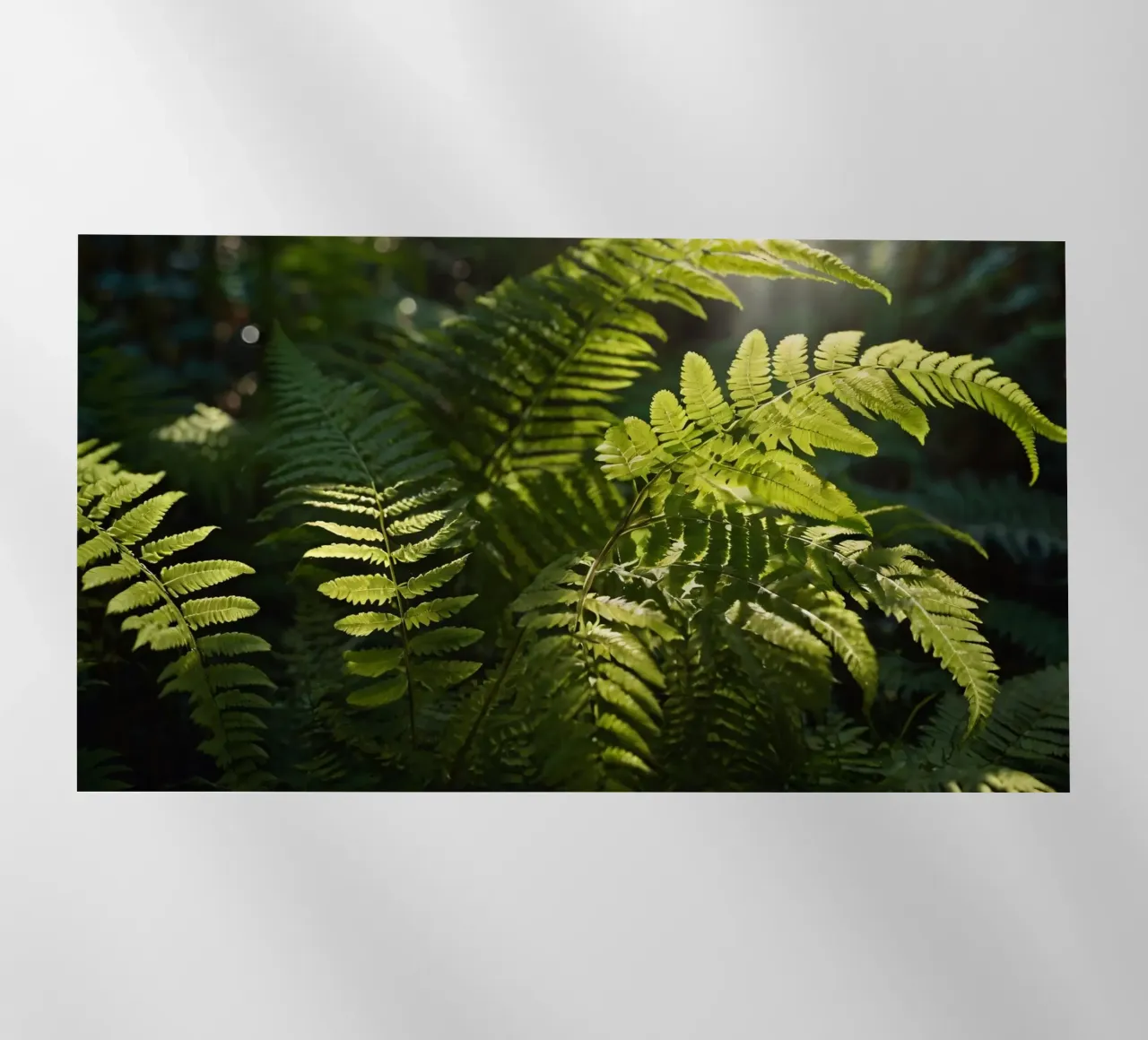 Felci verdi e rigogliose che si crogiolano alla luce del sole in una foresta tranquilla pellicola backlit da DesignDoodle