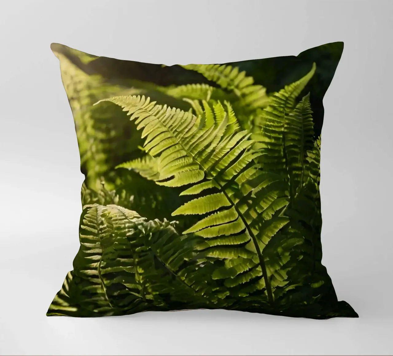 Exuberantes helechos verdes iluminados por la luz del sol en un denso bosque cojín de DesignDoodle