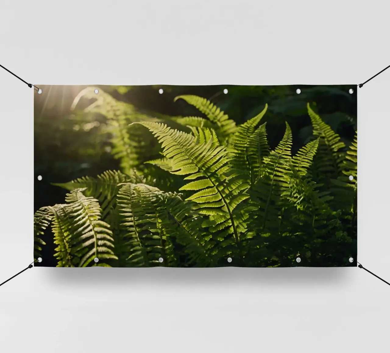 Felci verdi e rigogliose illuminate dalla luce del sole in una fitta foresta telo in pvc da DesignDoodle