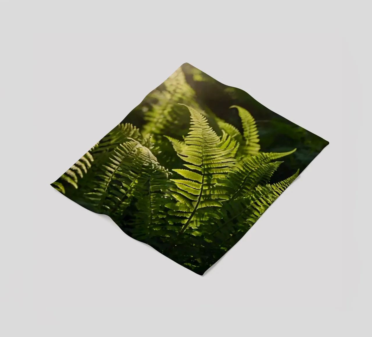 Felci verdi e rigogliose illuminate dalla luce del sole in una fitta foresta coperta in pile da DesignDoodle
