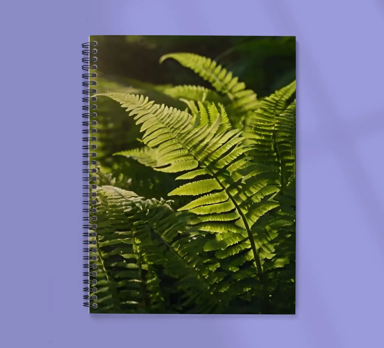 Lush green ferns illuminated by sunlight in a dense forest spiral notebook by DesignDoodle