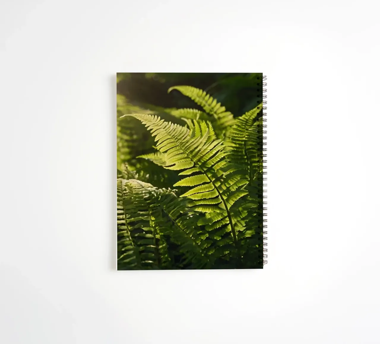 Lush green ferns illuminated by sunlight in a dense forest spiral notebook by DesignDoodle