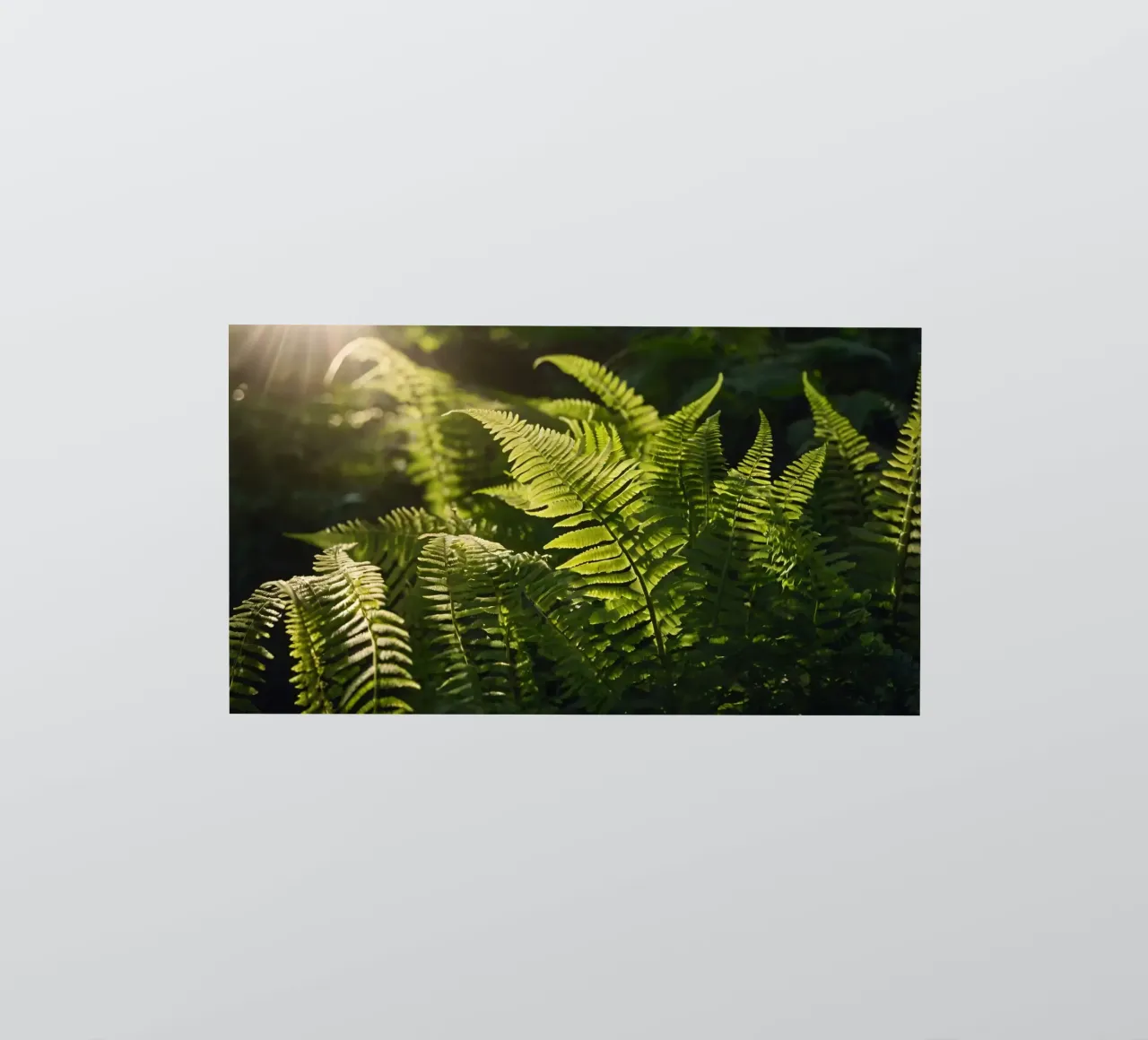 Felci verdi e rigogliose illuminate dalla luce del sole in una fitta foresta adesivo da DesignDoodle