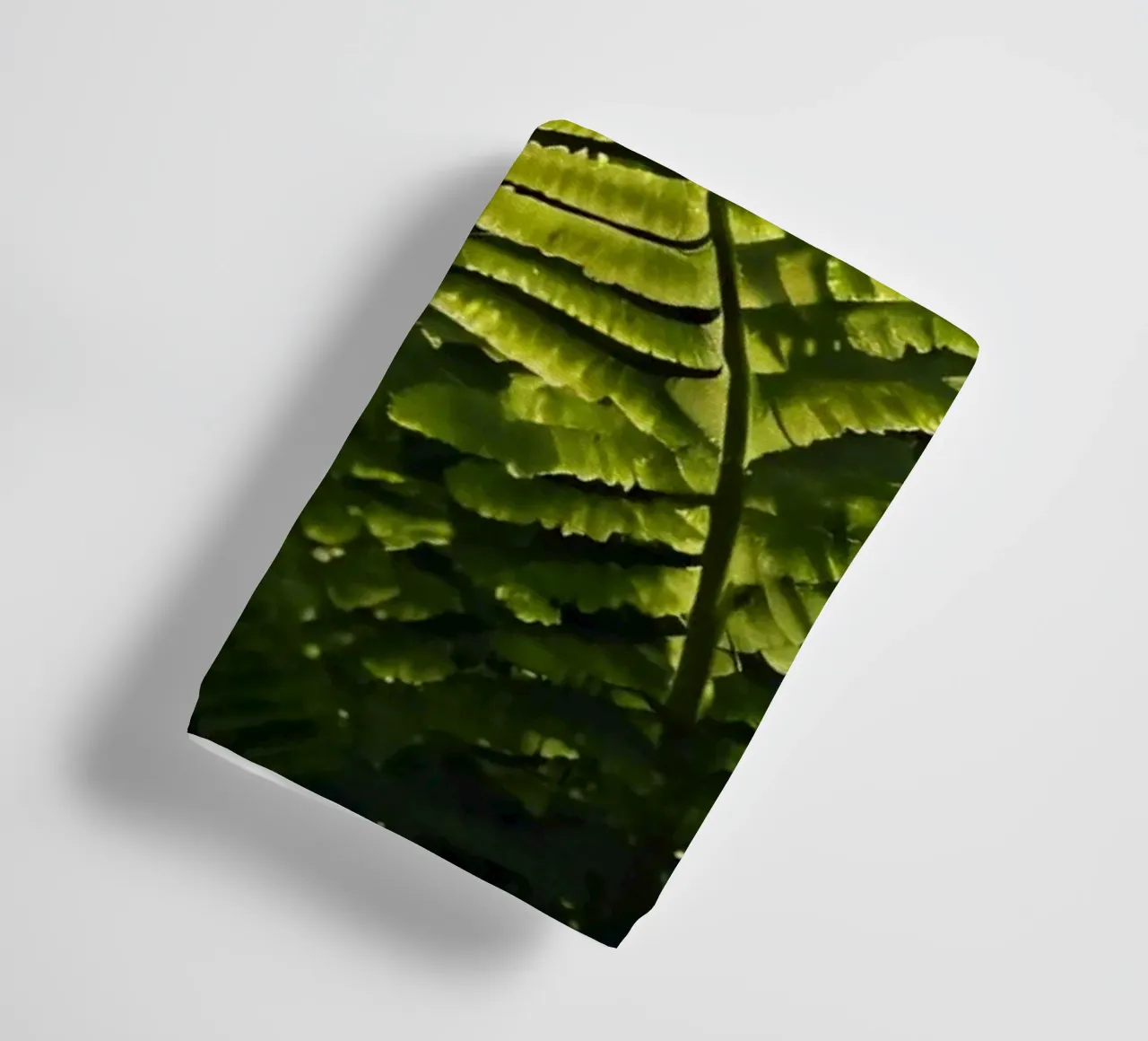 Felci verdi e rigogliose illuminate dalla luce del sole in una fitta foresta asciugamano da bagno da DesignDoodle