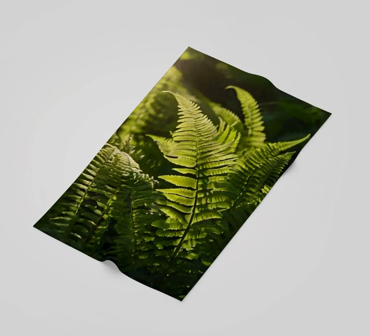 Felci verdi e rigogliose illuminate dalla luce del sole in una fitta foresta telo mare da DesignDoodle