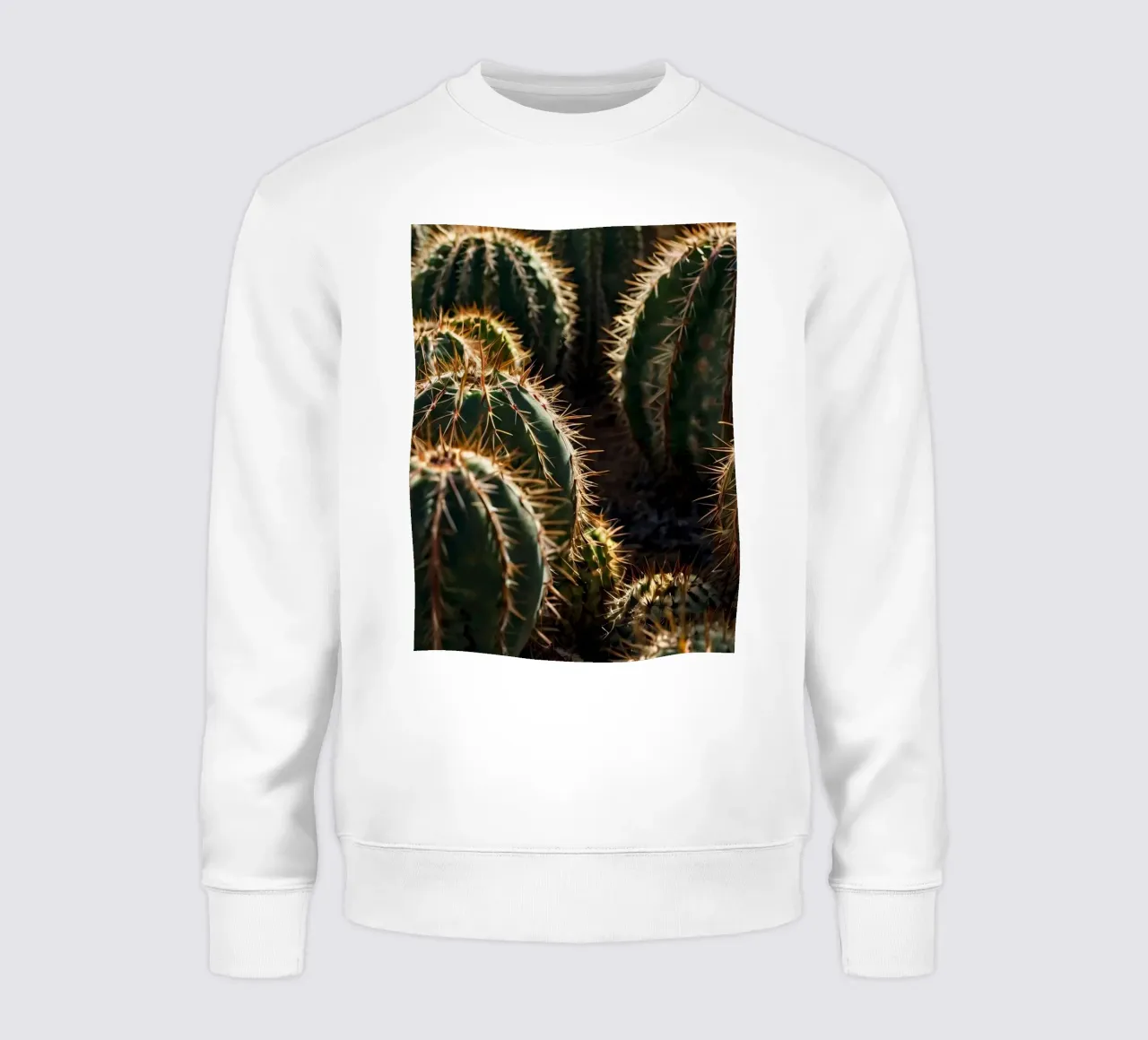 Close-up view of vibrant cacti with prominent spines sweatshirt by DesignDoodle