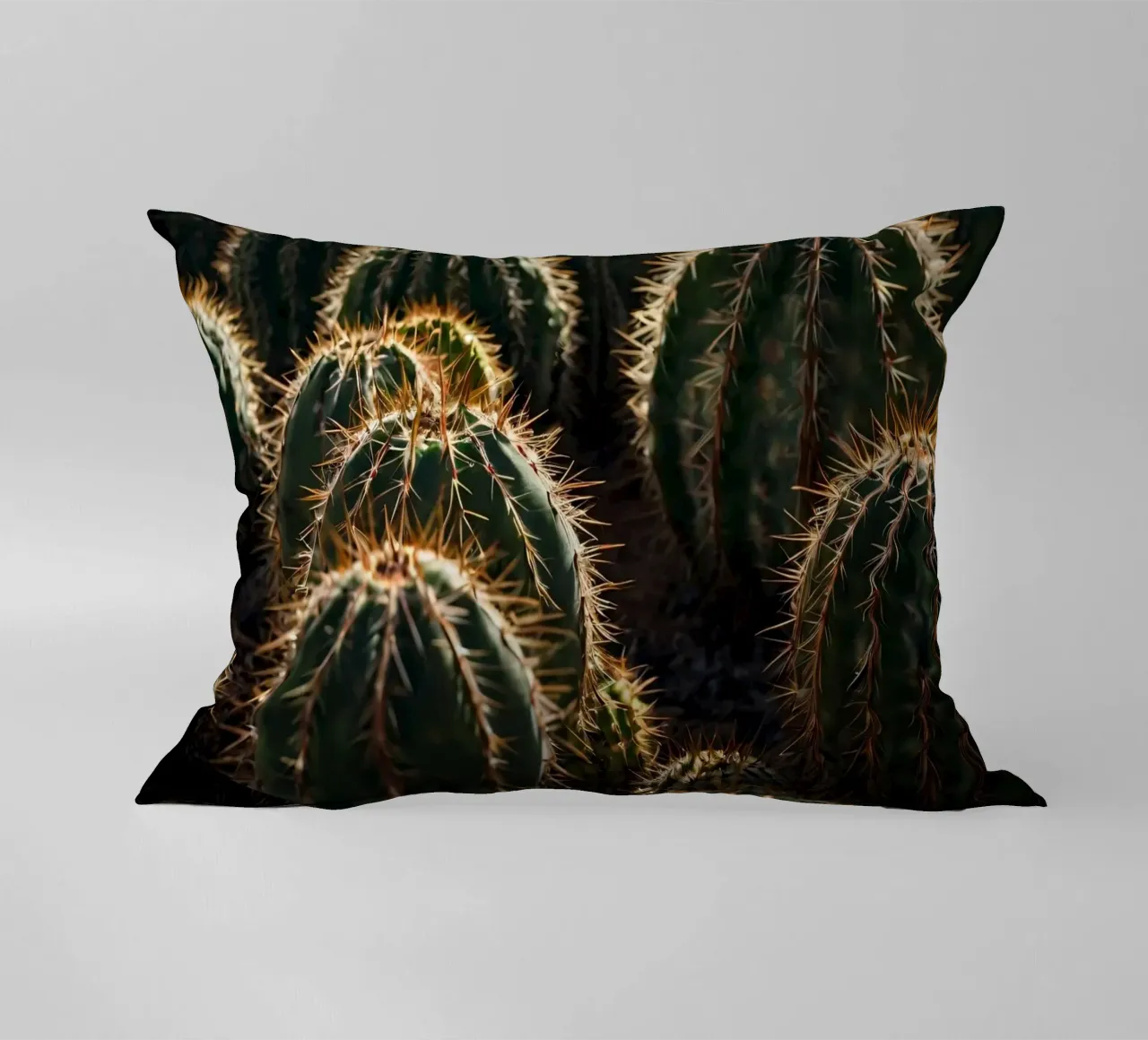 Vista ravvicinata di cactus vivaci con spine prominenti cuscino da DesignDoodle