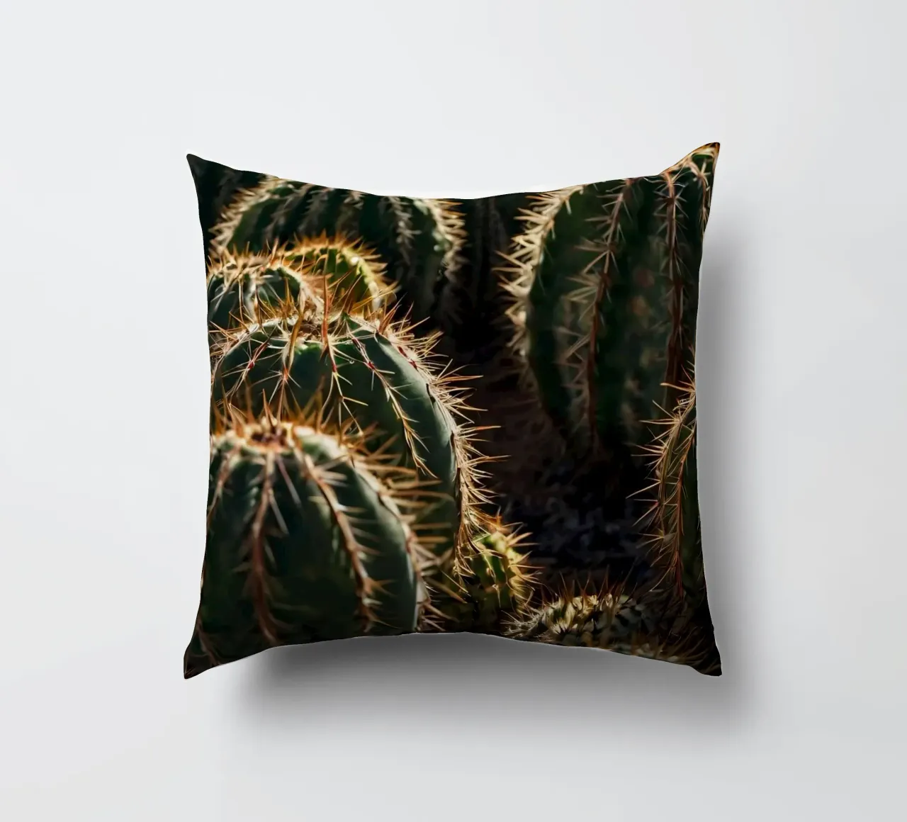 Vista ravvicinata di cactus vivaci con spine prominenti cuscino da DesignDoodle