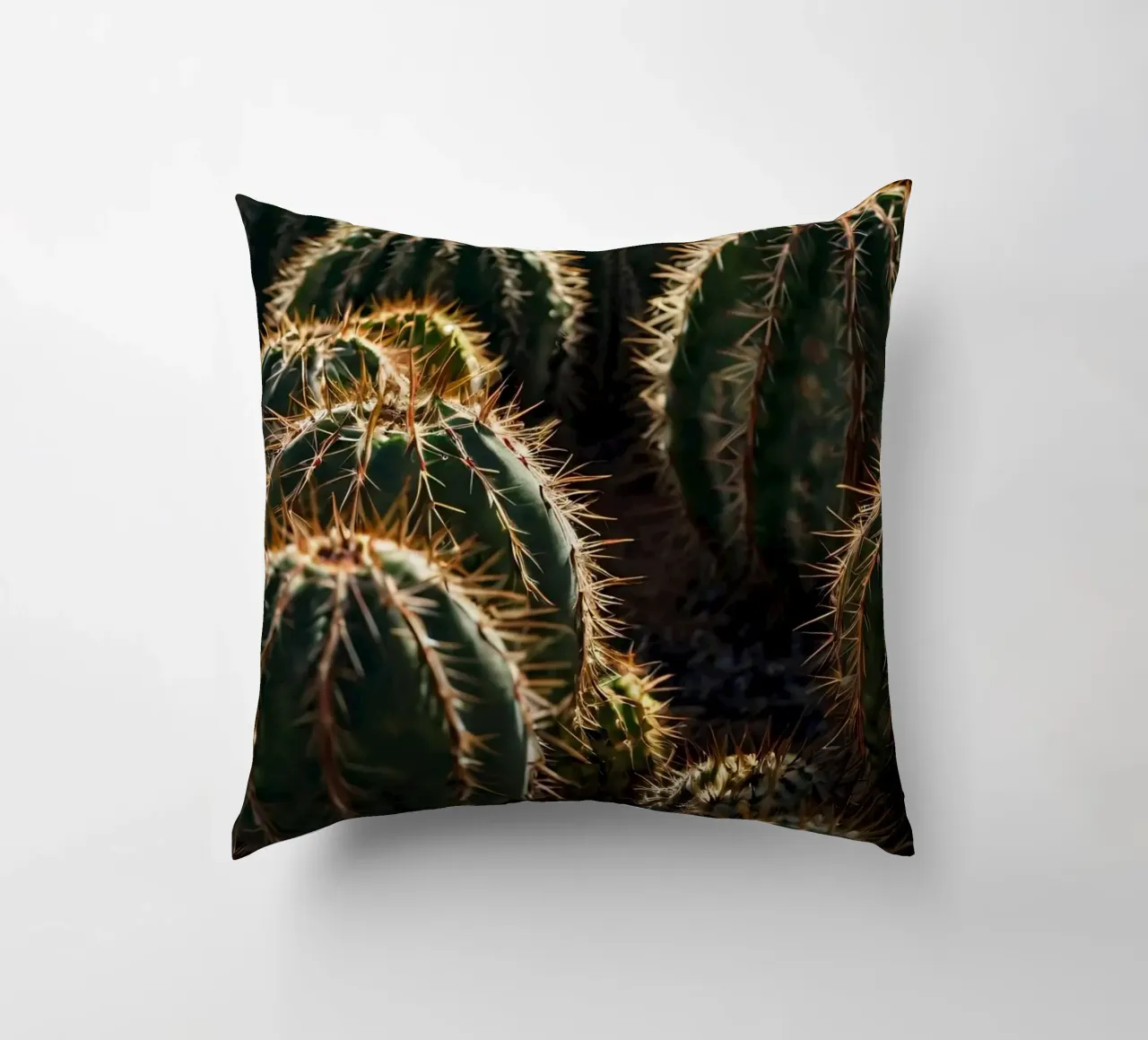 Vista ravvicinata di cactus vivaci con spine prominenti cuscino da DesignDoodle