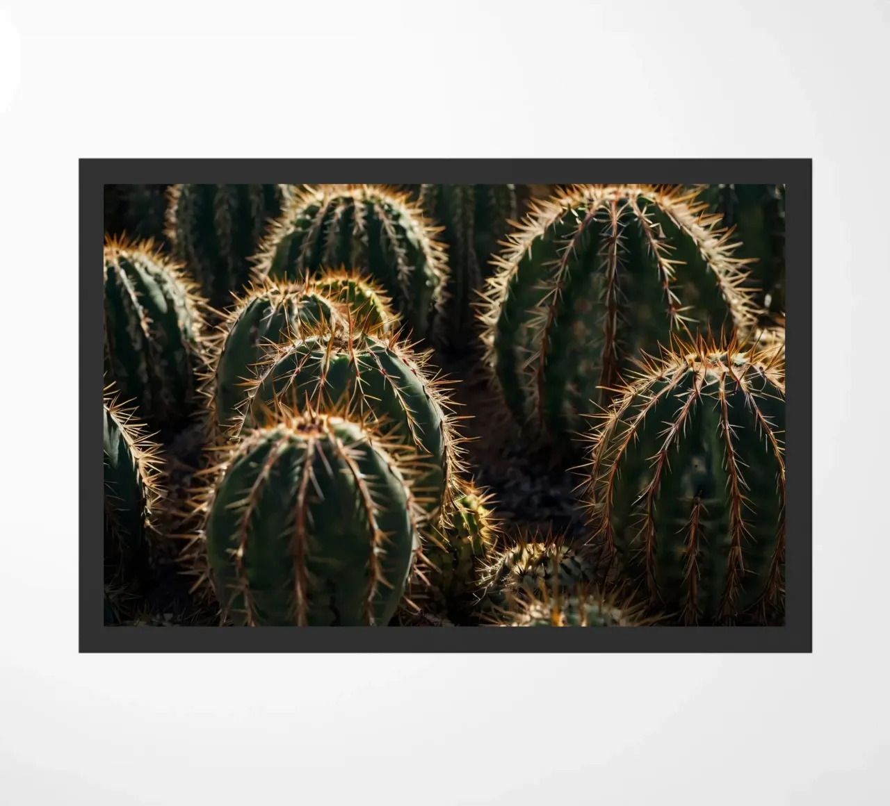 Close-up view of vibrant cacti with prominent spines doormat by DesignDoodle