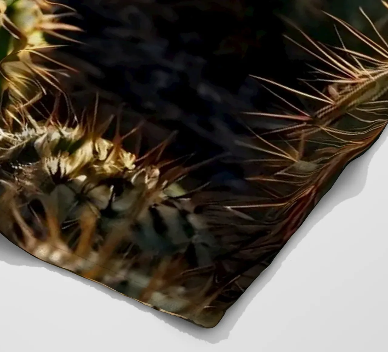Close-up view of vibrant cacti with prominent spines fleece blanket by DesignDoodle