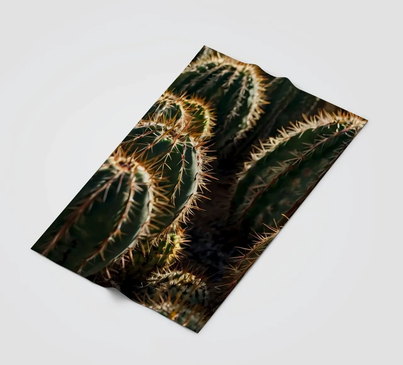 Close-up view of vibrant cacti with prominent spines fleece blanket by DesignDoodle