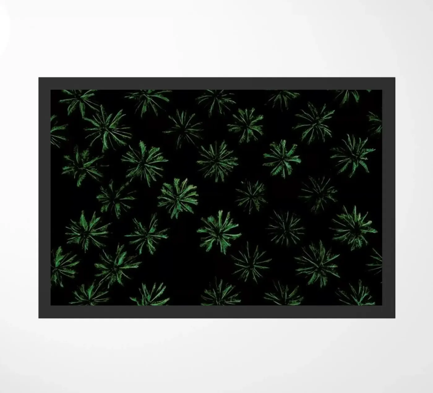 Sleeping Palm Trees zerbino da ROBERTO H