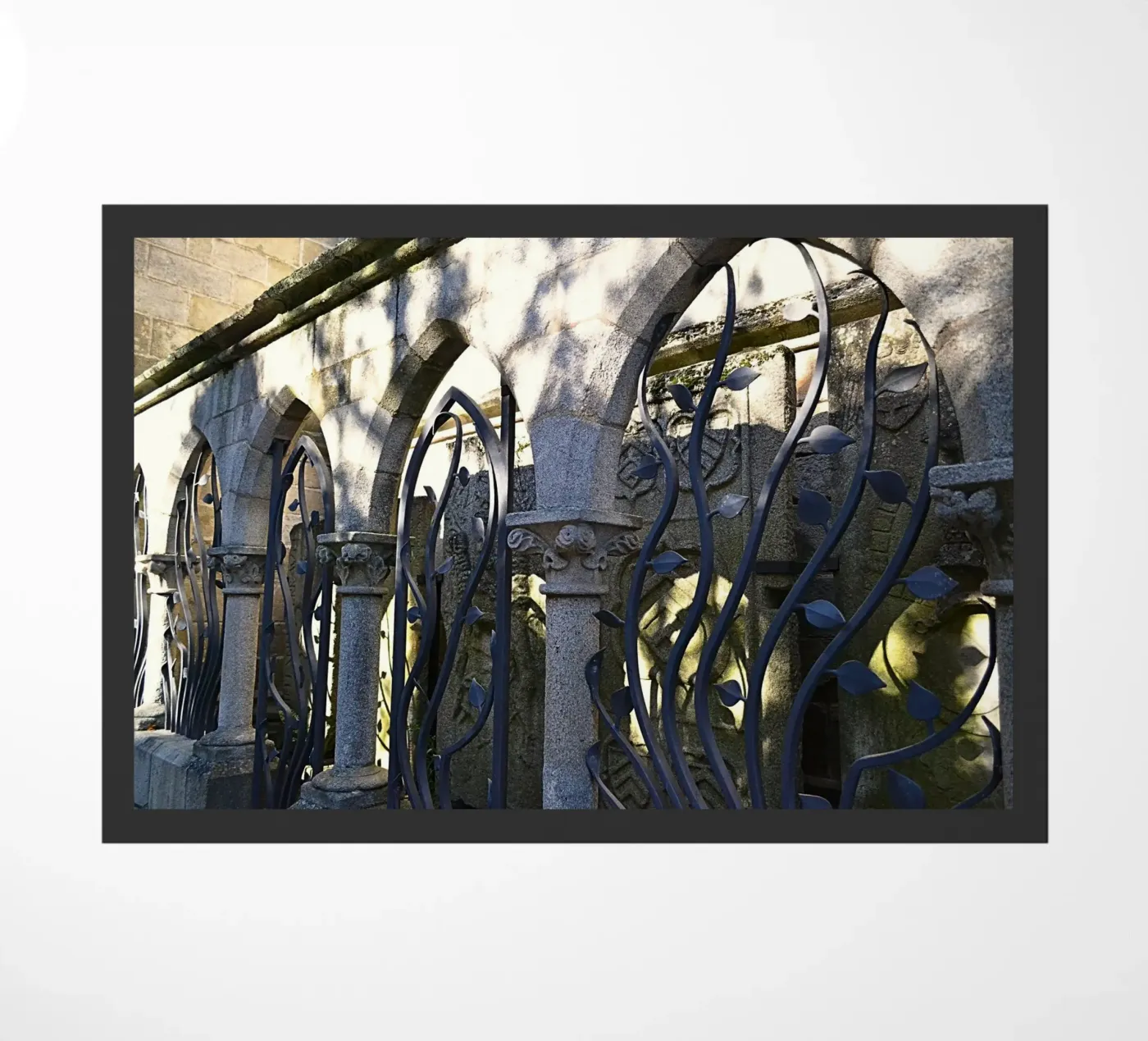 FAA258 zerbino da Thierry vobmann photography