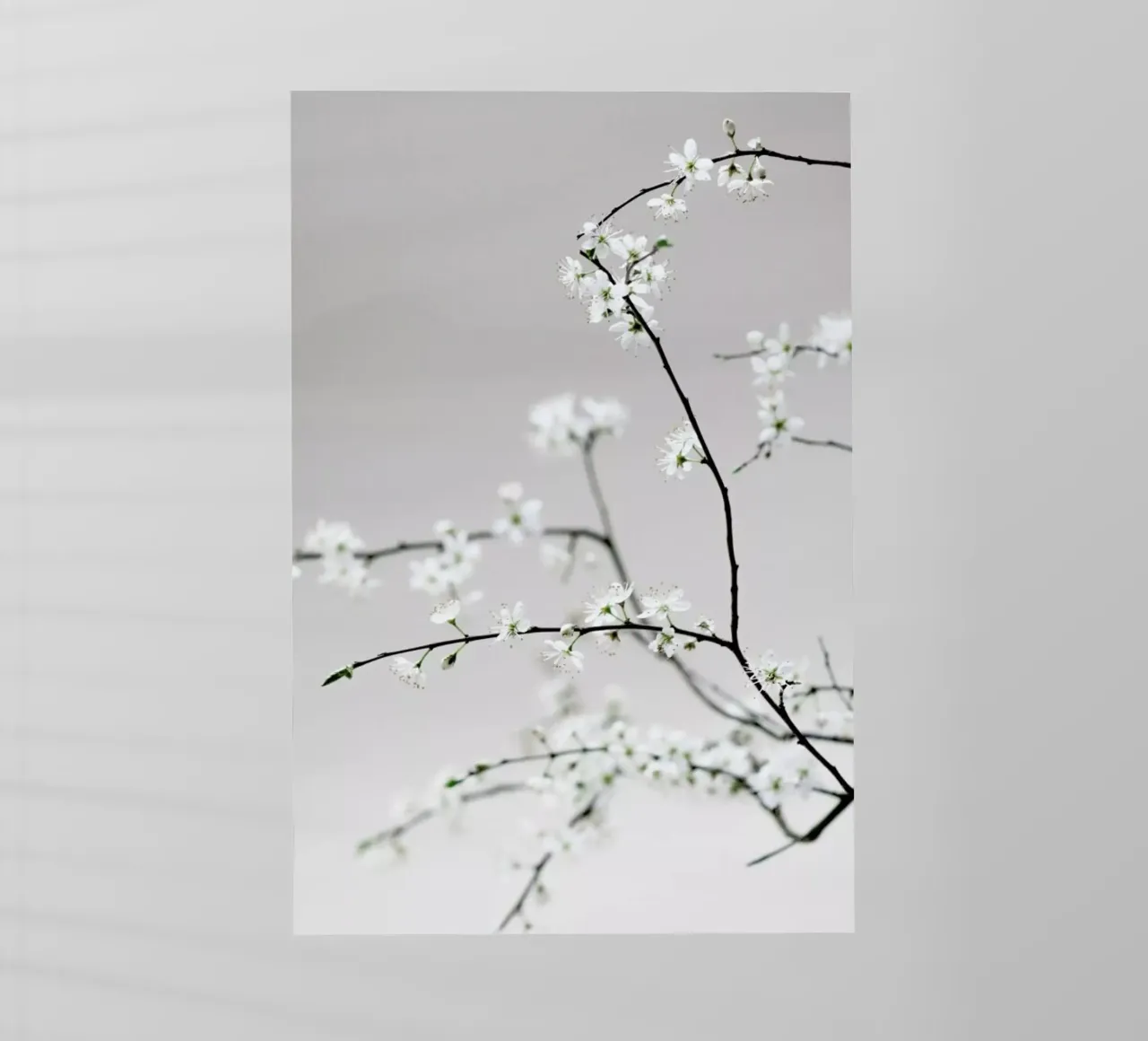 Spring Is in the Air pellicola backlit da Studio Nahili