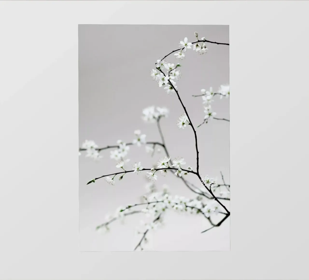 Spring Is in the Air pellicola backlit da Studio Nahili