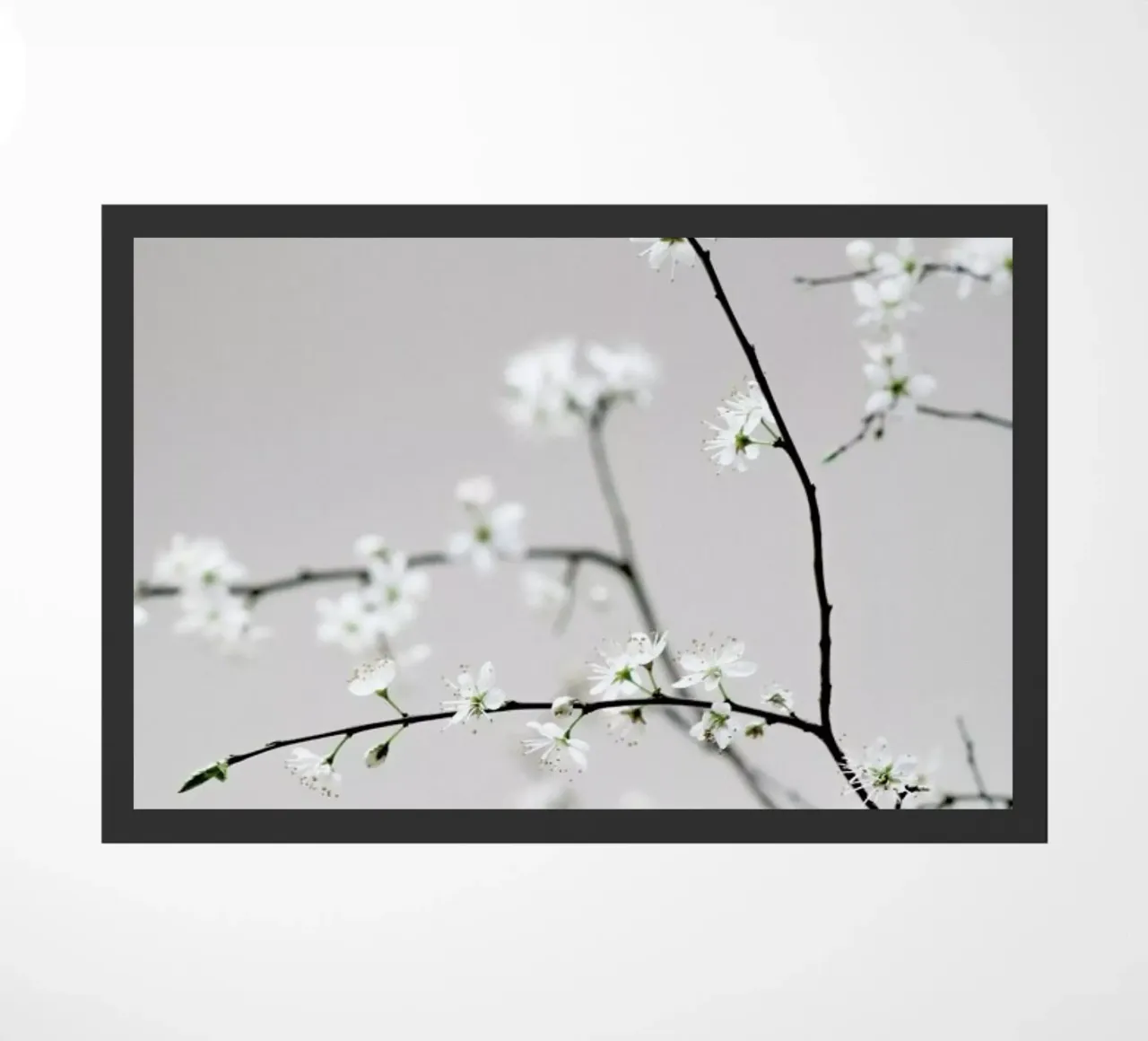 Spring Is in the Air zerbino da Studio Nahili