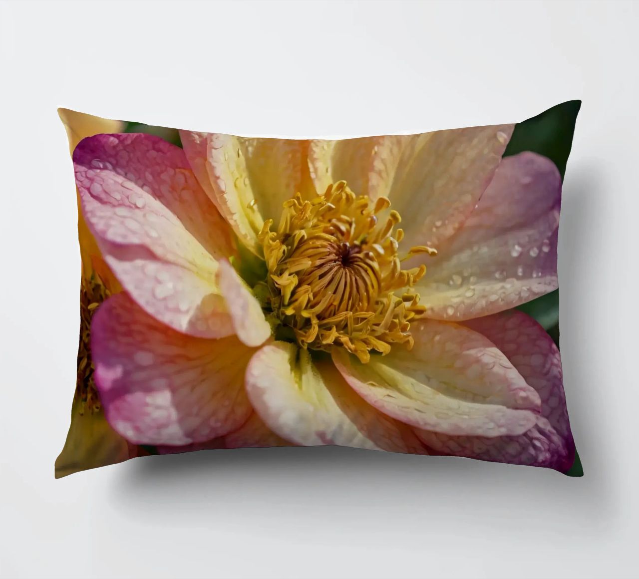 Vue rapprochée d'une fleur vibrante dans un jardin coussin de DesignDoodle