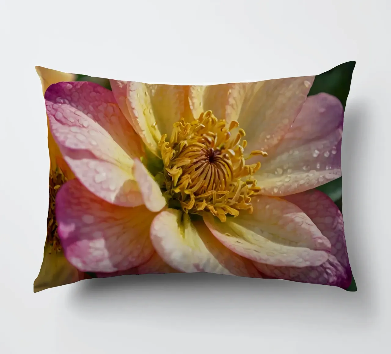 Vue rapprochée d'une fleur vibrante dans un jardin coussin de DesignDoodle