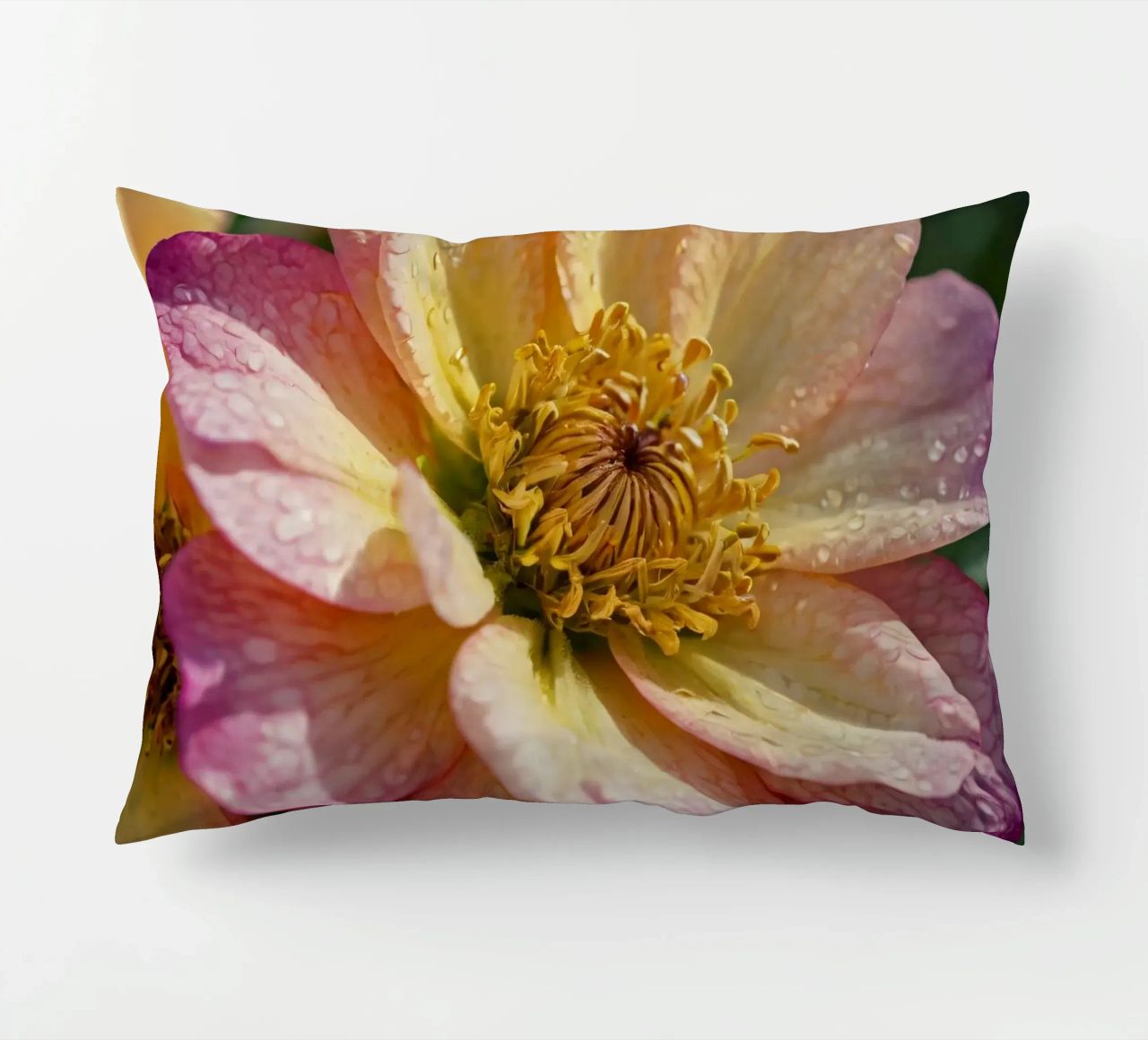 Vue rapprochée d'une fleur vibrante dans un jardin coussin de DesignDoodle