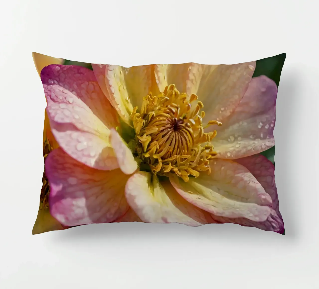 Eine Nahaufnahme einer leuchtenden Blume in einem Garten Kissen von DesignDoodle
