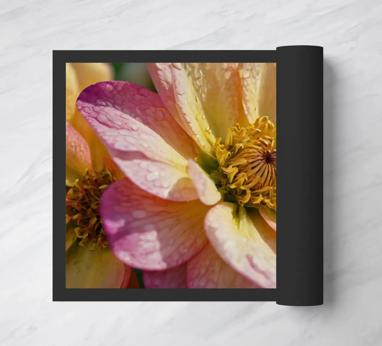 Vue rapprochée d'une fleur vibrante dans un jardin paillasson de DesignDoodle