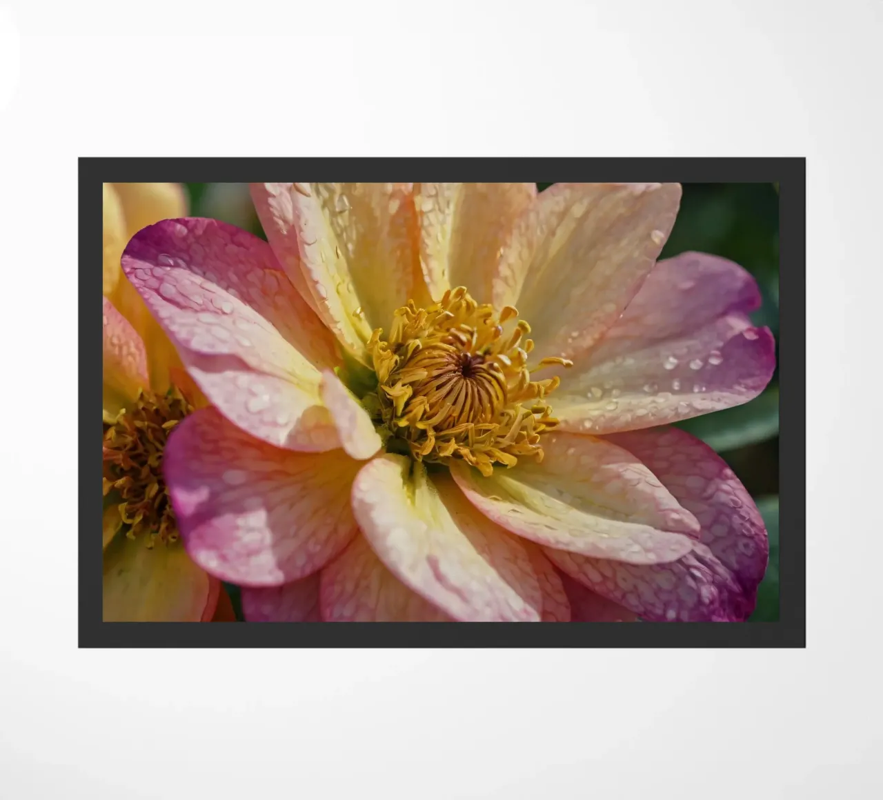 Eine Nahaufnahme einer leuchtenden Blume in einem Garten Fußmatte von DesignDoodle