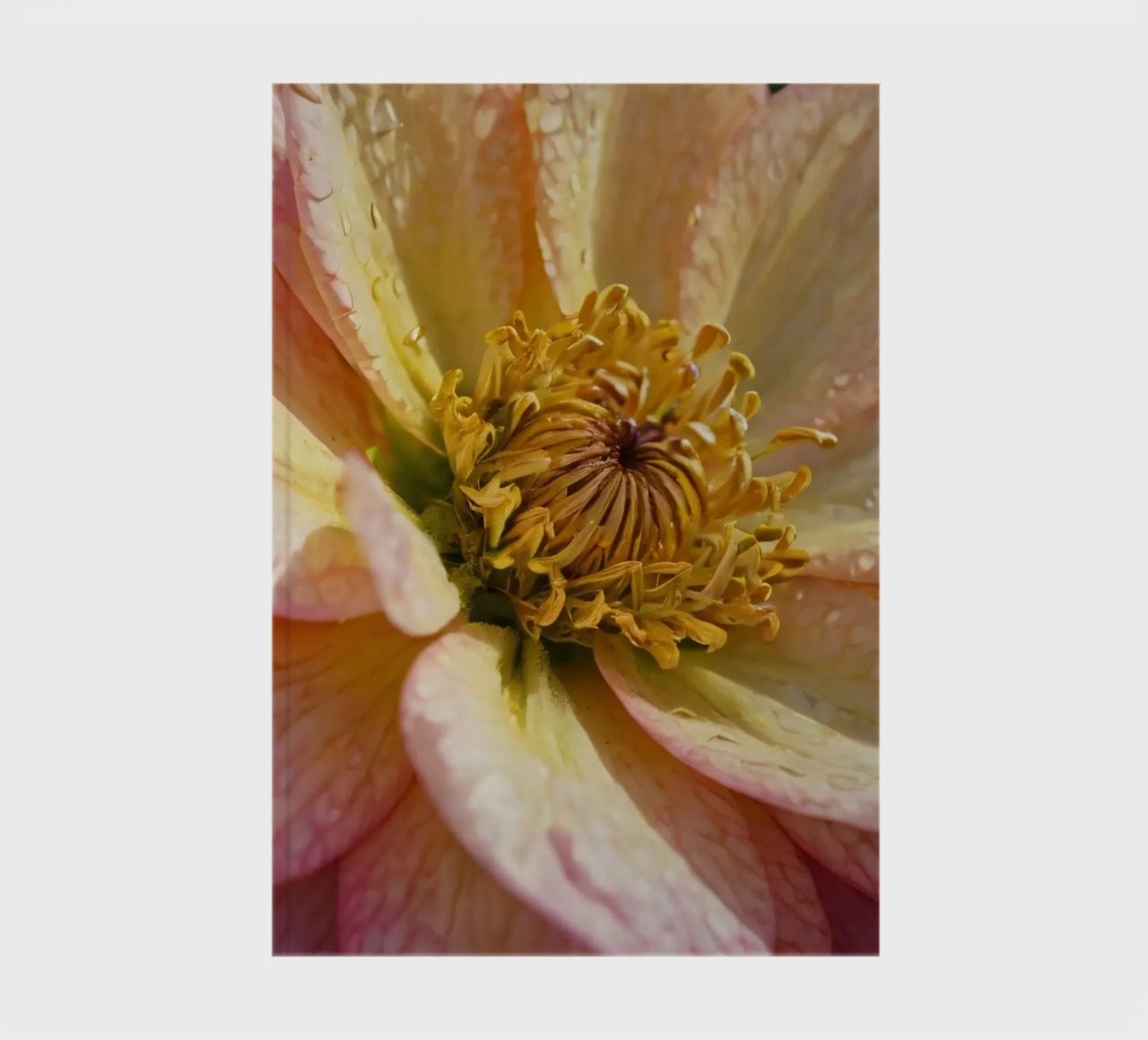 Vue rapprochée d'une fleur vibrante dans un jardin carnet de notes de DesignDoodle
