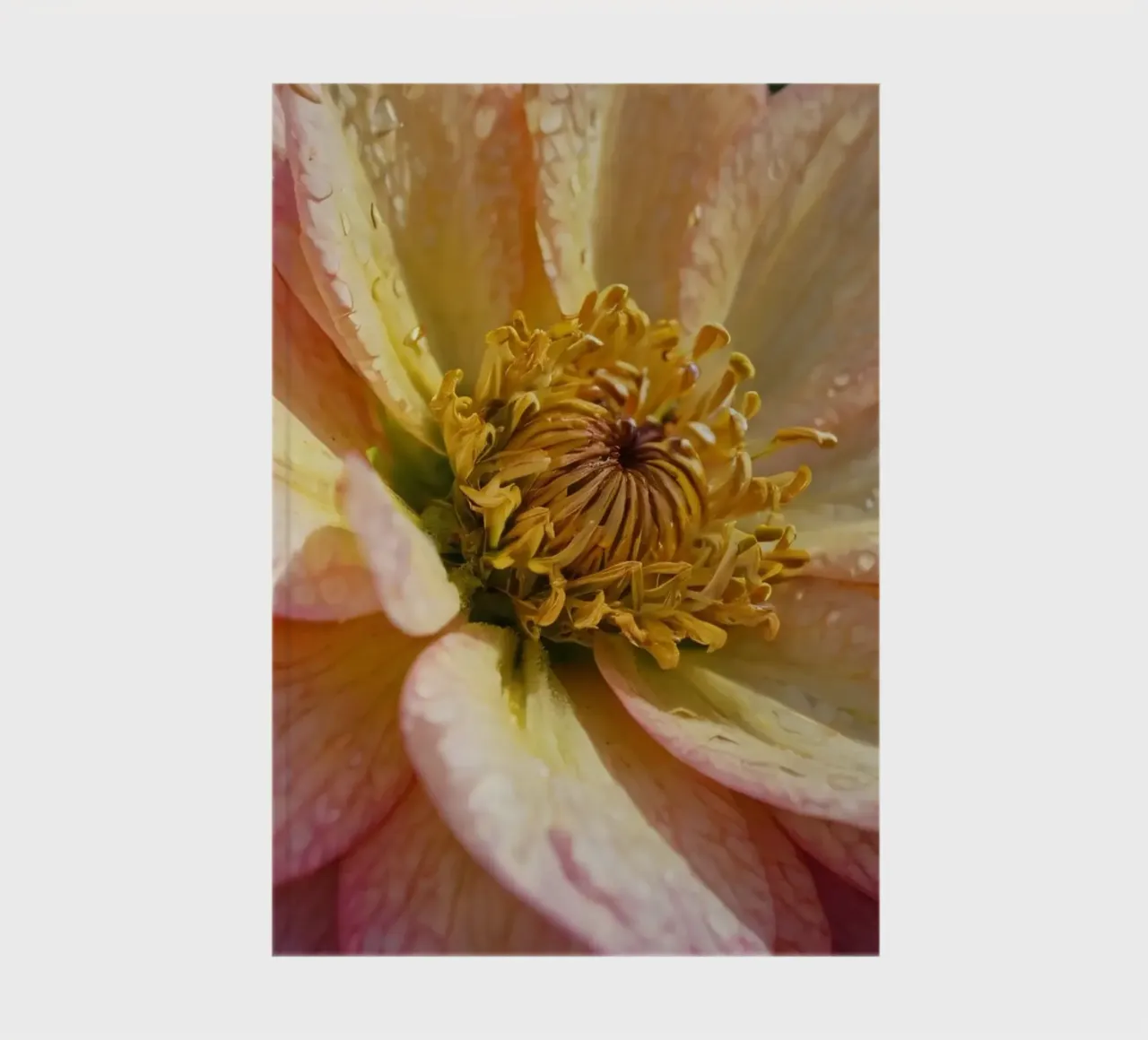 Vue rapprochée d'une fleur vibrante dans un jardin carnet de notes de DesignDoodle