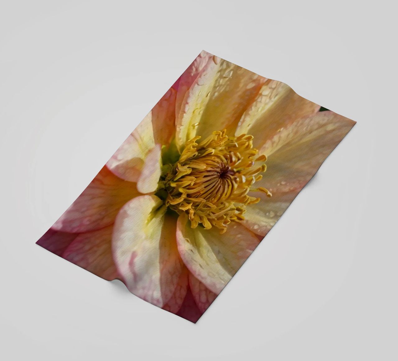 Vue rapprochée d'une fleur vibrante dans un jardin serviette de plage de DesignDoodle