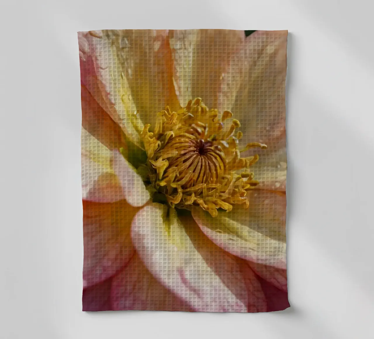 Eine Nahaufnahme einer leuchtenden Blume in einem Garten Geschirrtuch von DesignDoodle