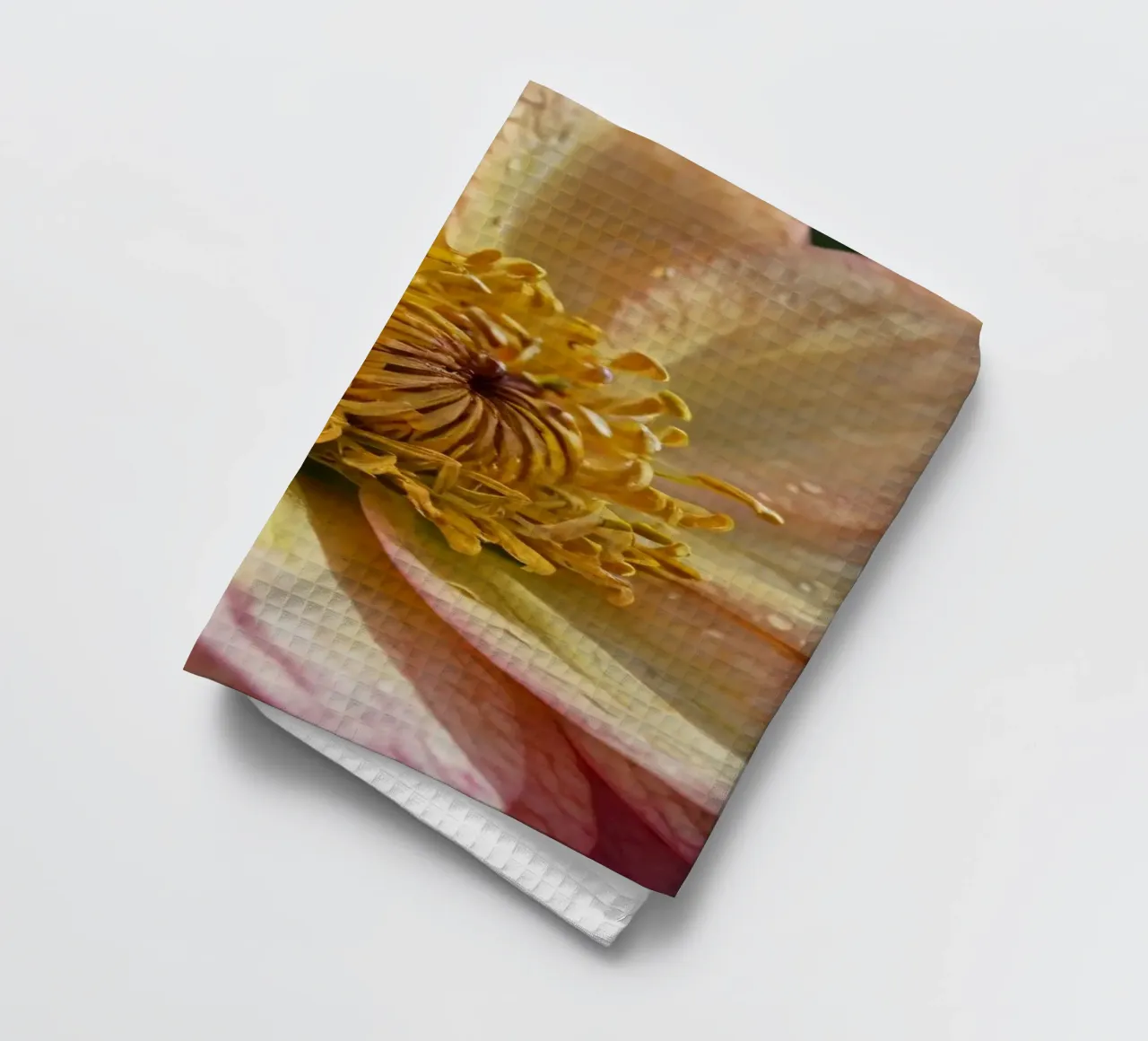 Eine Nahaufnahme einer leuchtenden Blume in einem Garten Geschirrtuch von DesignDoodle