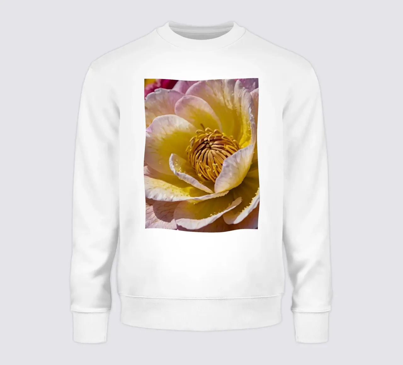 un vivace fiore di camelia giallo e rosa in fiore felpa da DesignDoodle