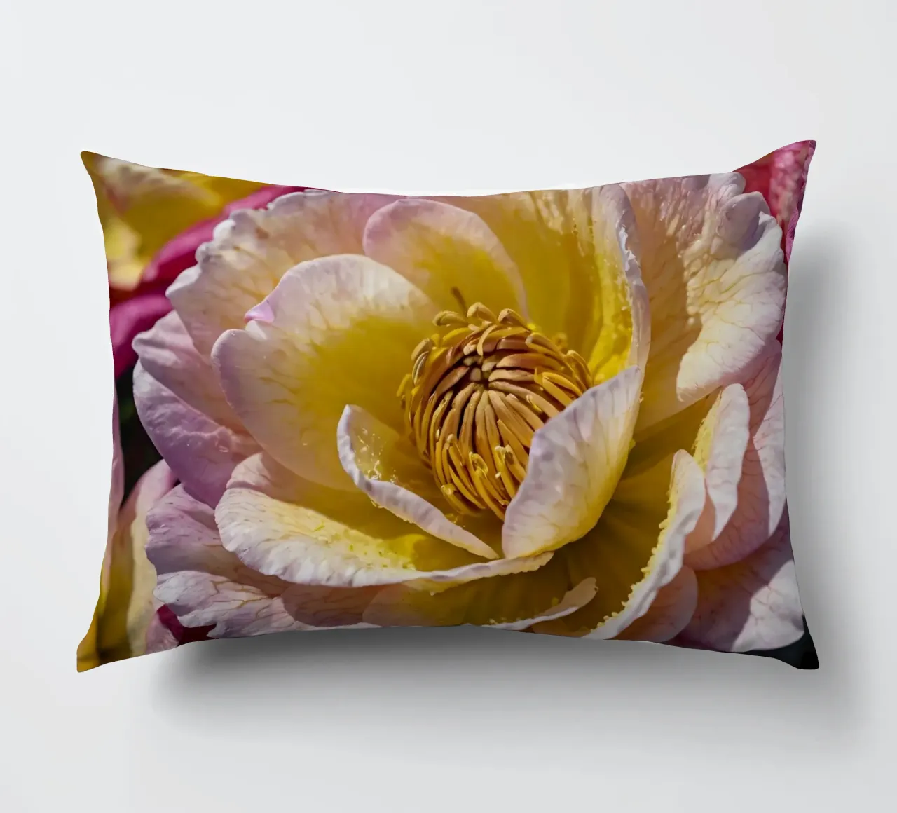 un vivace fiore di camelia giallo e rosa in fiore cuscino da DesignDoodle