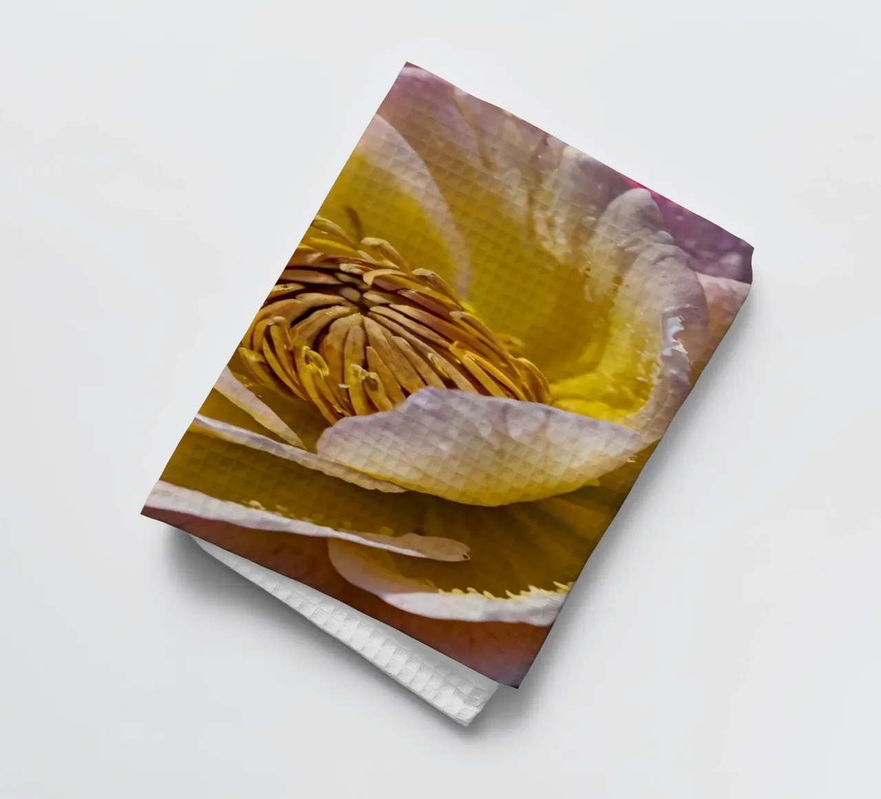 un vivace fiore di camelia giallo e rosa in fiore canovaccio da cucina da DesignDoodle