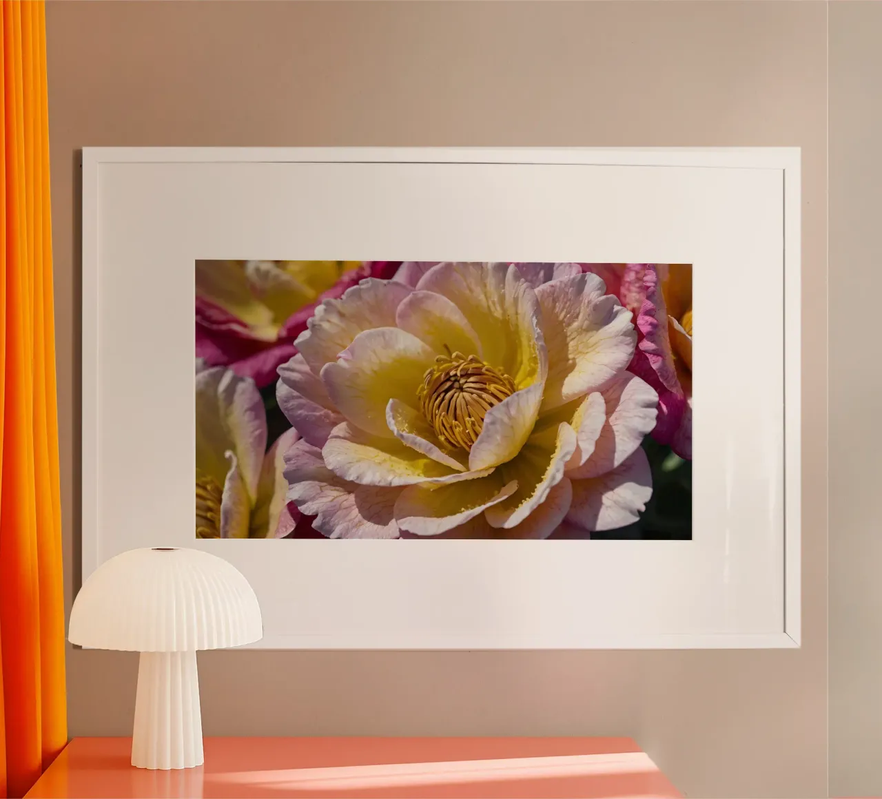 un vivace fiore di camelia giallo e rosa in fiore carta hahnemühle da DesignDoodle