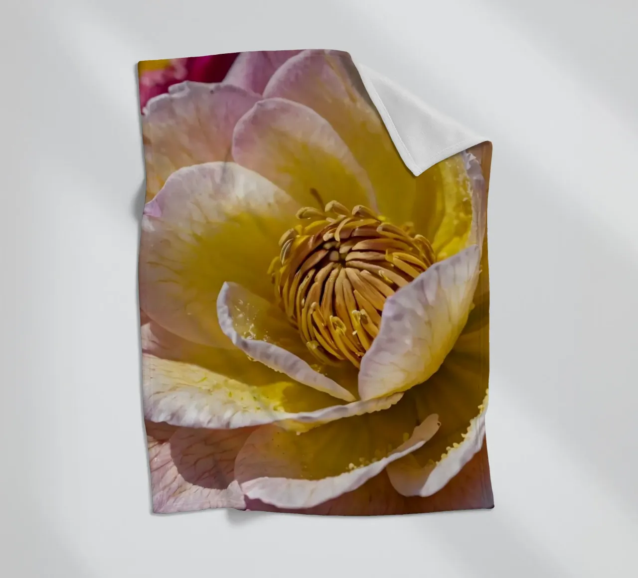 un vivace fiore di camelia giallo e rosa in fiore coperta in pile da DesignDoodle