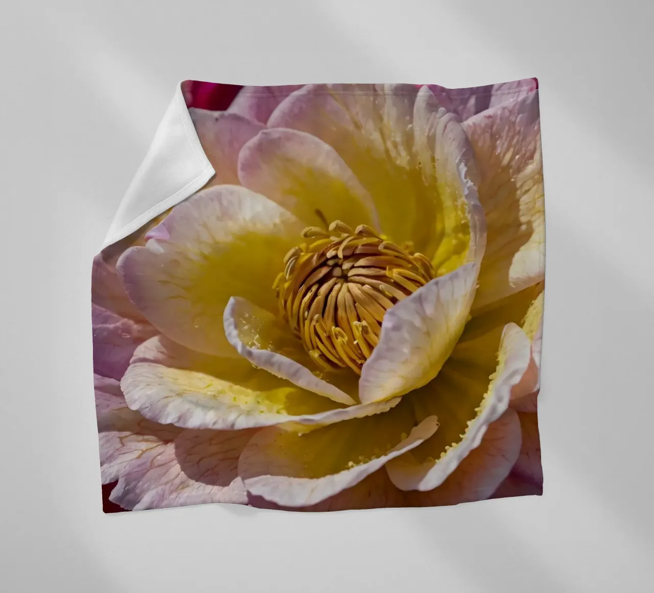un vivace fiore di camelia giallo e rosa in fiore coperta in pile da DesignDoodle