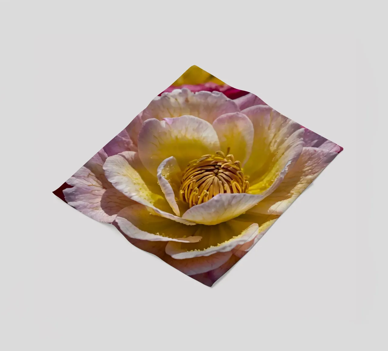 un vivace fiore di camelia giallo e rosa in fiore coperta in pile da DesignDoodle